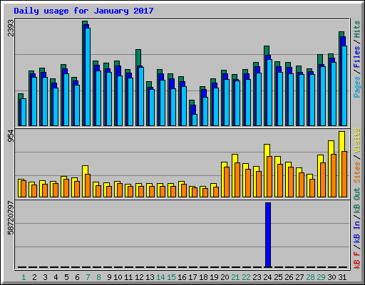 Daily usage for January 2017