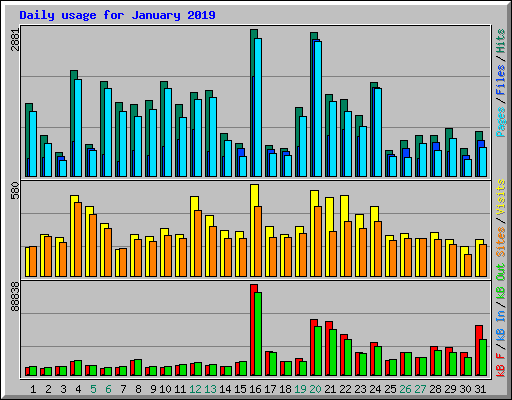 Daily usage for January 2019