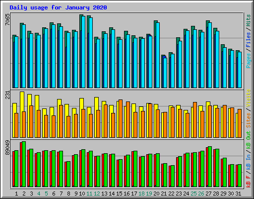 Daily usage for January 2020