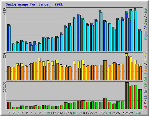 Daily usage for January 2021