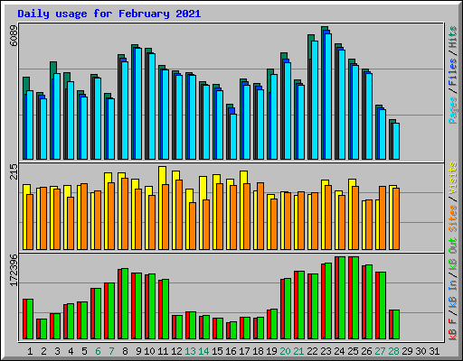 Daily usage for February 2021