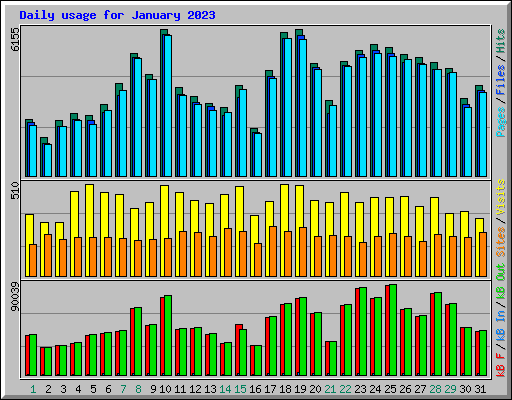 Daily usage for January 2023