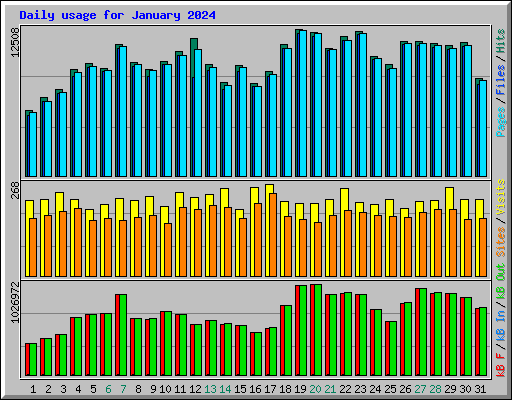 Daily usage for January 2024