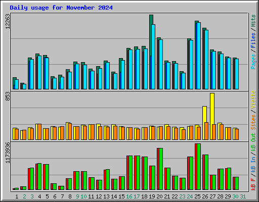 Daily usage for November 2024