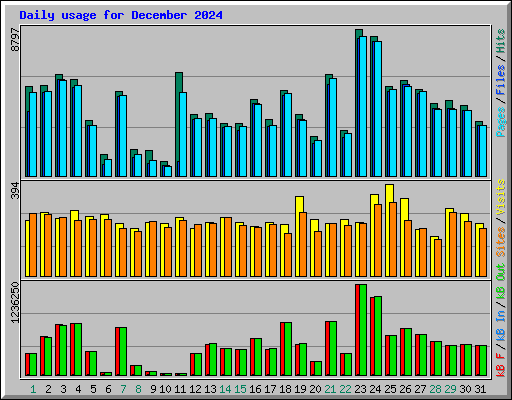Daily usage for December 2024