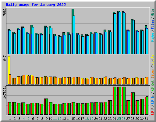Daily usage for January 2025