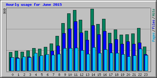 Hourly usage for June 2015