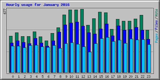 Hourly usage for January 2016