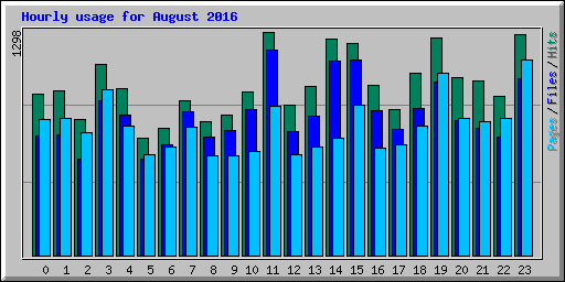 Hourly usage for August 2016
