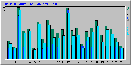 Hourly usage for January 2019