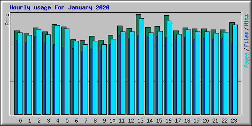 Hourly usage for January 2020