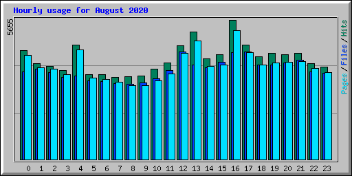 Hourly usage for August 2020