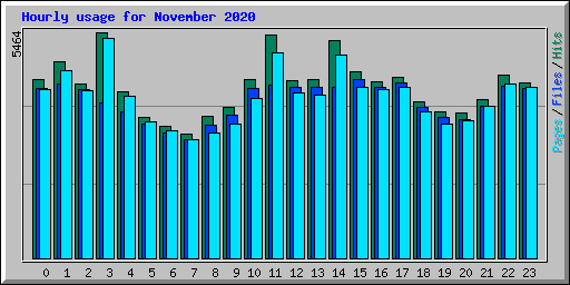 Hourly usage for November 2020