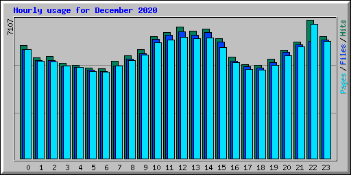 Hourly usage for December 2020