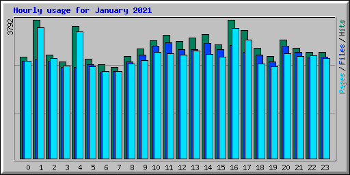 Hourly usage for January 2021