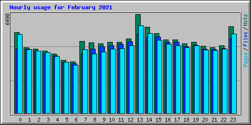 Hourly usage for February 2021
