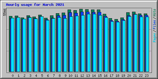 Hourly usage for March 2021