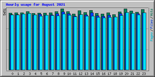 Hourly usage for August 2021