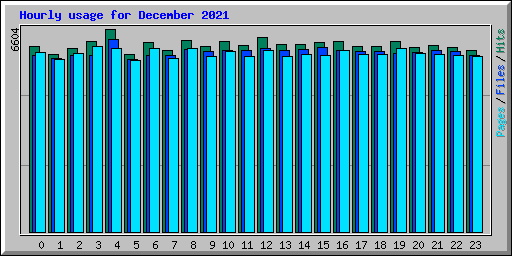 Hourly usage for December 2021