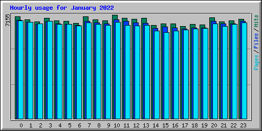 Hourly usage for January 2022