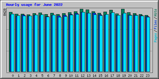 Hourly usage for June 2022