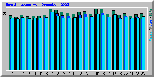 Hourly usage for December 2022
