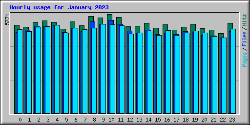 Hourly usage for January 2023