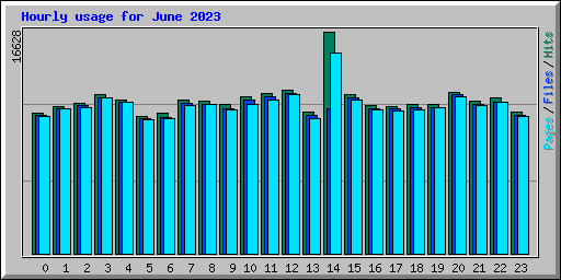 Hourly usage for June 2023
