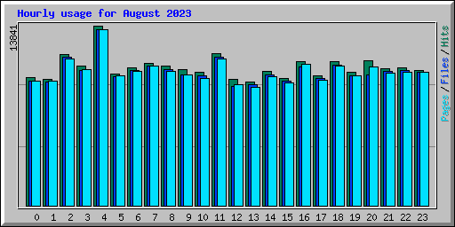 Hourly usage for August 2023