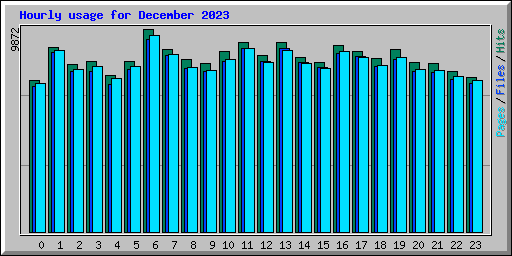 Hourly usage for December 2023