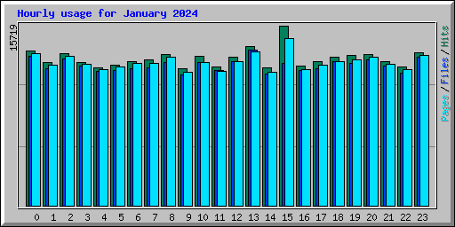 Hourly usage for January 2024