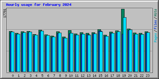 Hourly usage for February 2024