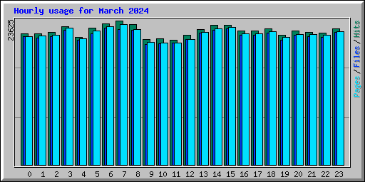 Hourly usage for March 2024