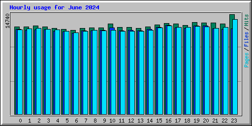 Hourly usage for June 2024
