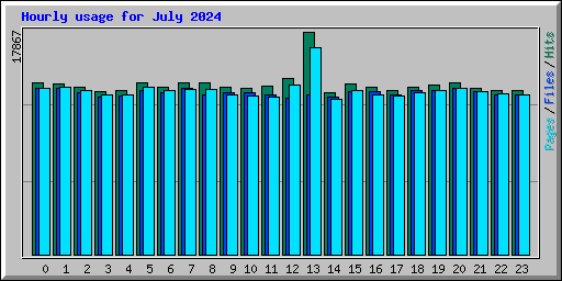 Hourly usage for July 2024
