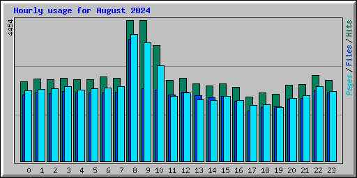 Hourly usage for August 2024