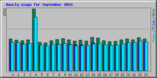 Hourly usage for September 2024