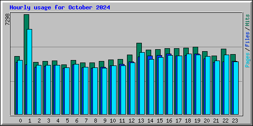 Hourly usage for October 2024