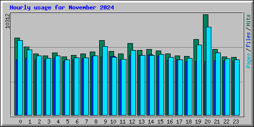 Hourly usage for November 2024