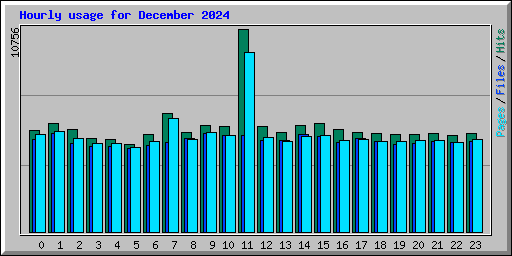 Hourly usage for December 2024