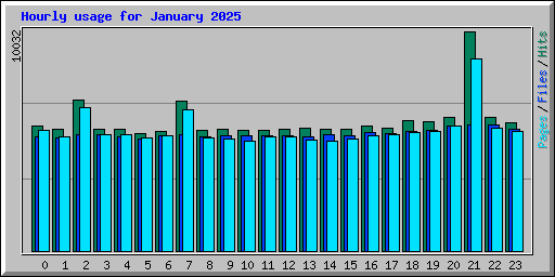 Hourly usage for January 2025