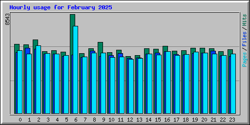 Hourly usage for February 2025