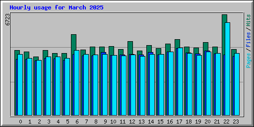 Hourly usage for March 2025