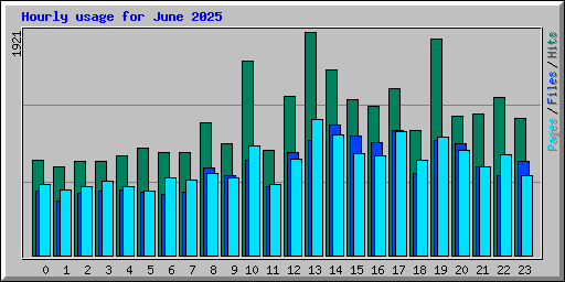Hourly usage for June 2025