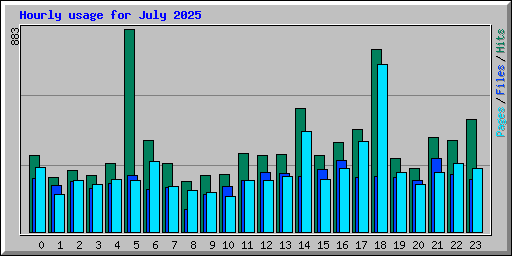 Hourly usage for July 2025