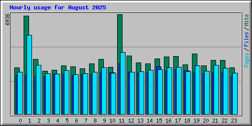 Hourly usage for August 2025