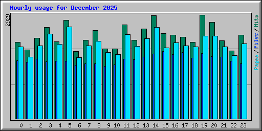 Hourly usage for December 2025